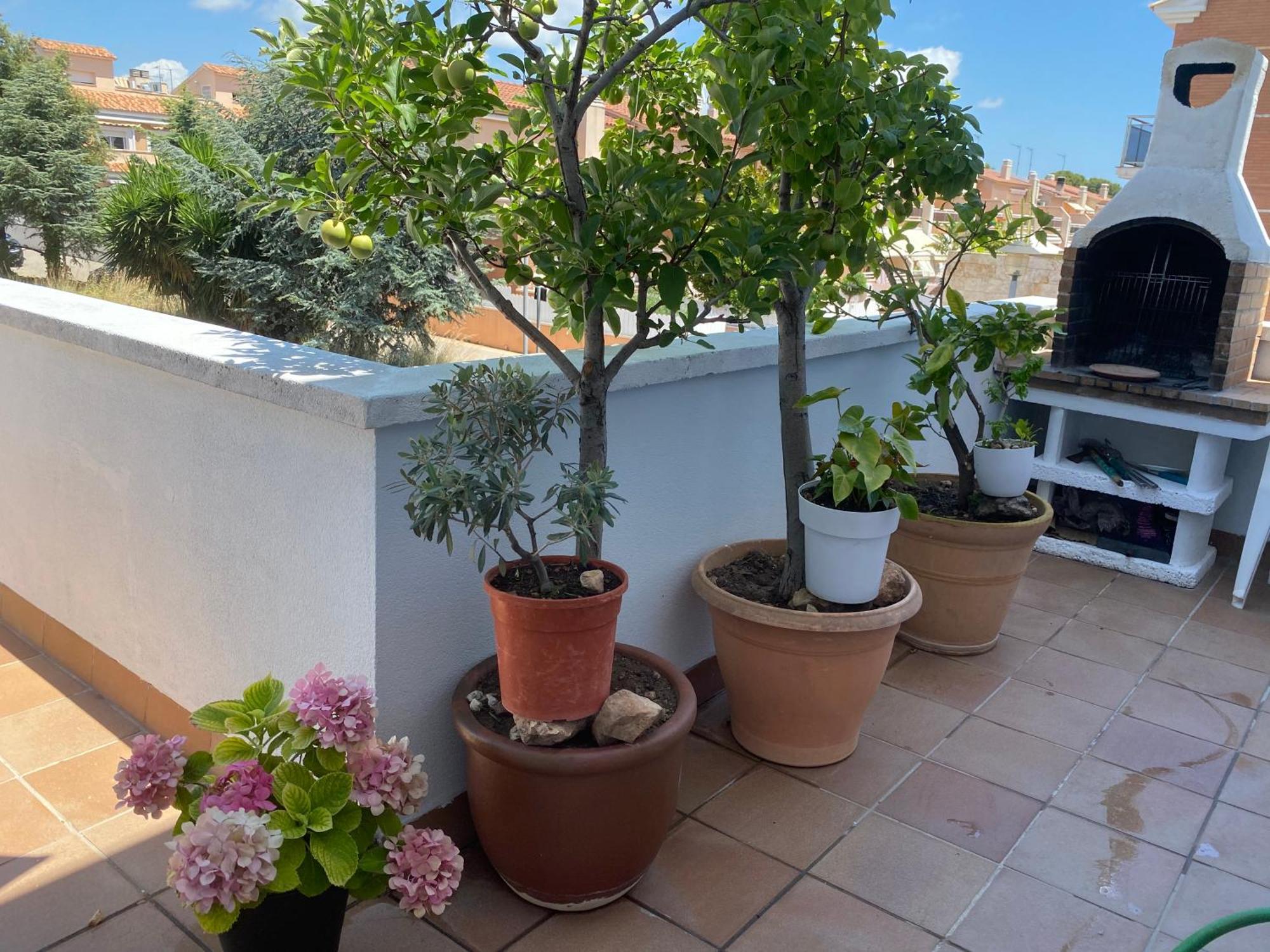 House On The Beach Calafell Extérieur photo